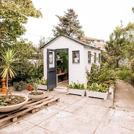 Quinta Luzes By Casa Dos Sequeiras *